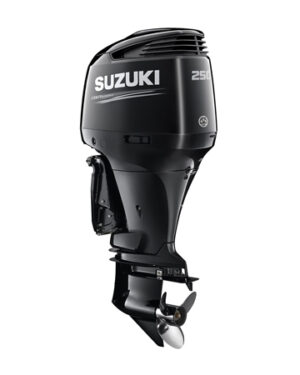 2019 Suzuki 250 PK DF250APXX2 Buitenboordmotor