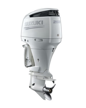 2019 Suzuki 250 PK DF250APXXW2 Buitenboordmotor